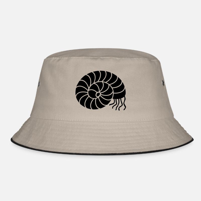 Cephalopoda (1c) Bob