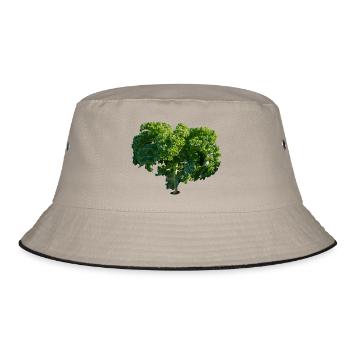 kale gruenkohl chou veggie gemuese vegetables2 - Bob - kaki/noir - Devant