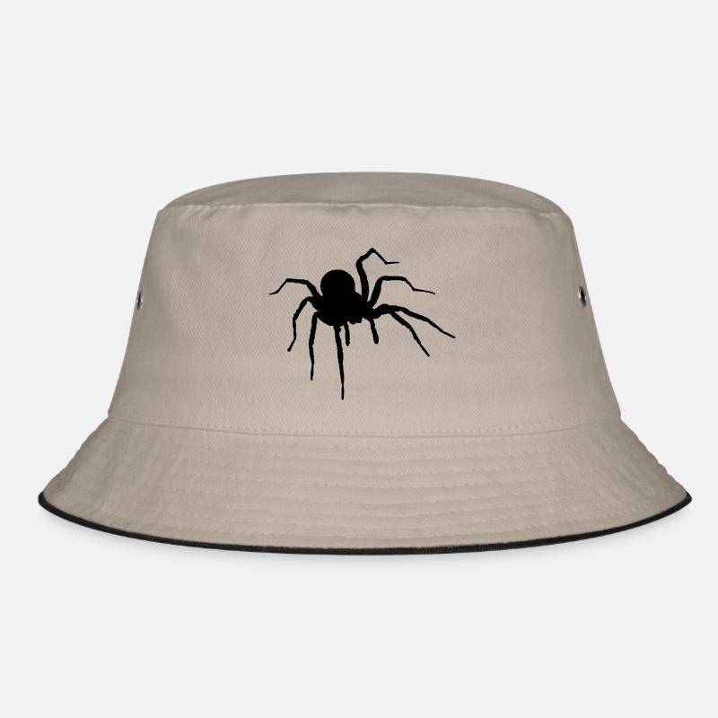 The Spider Bob