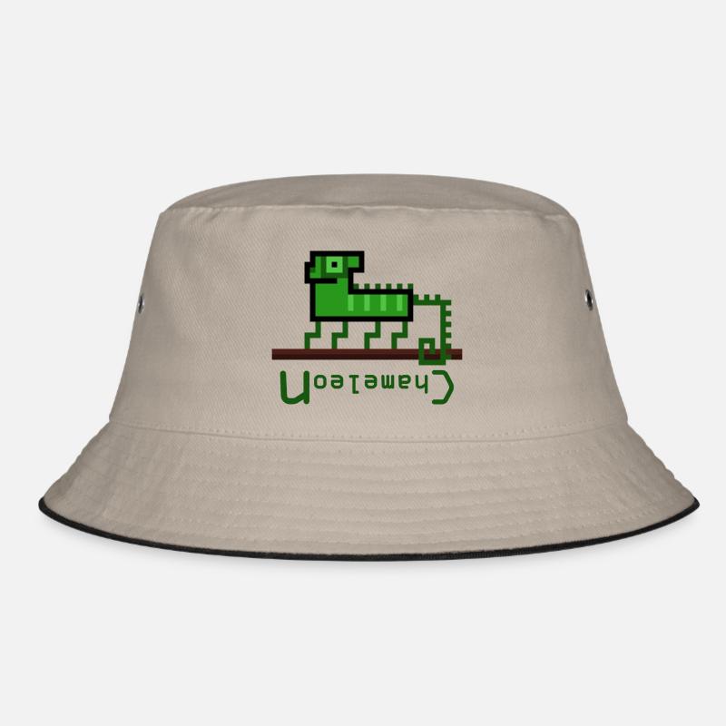 Logo caméléon Bob