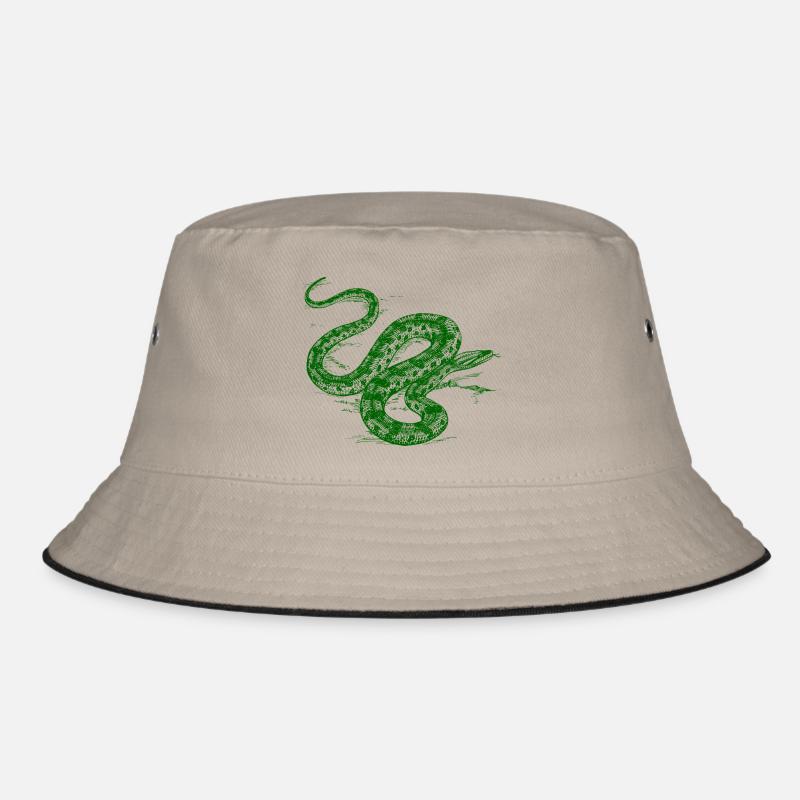 Serpent vert Bob