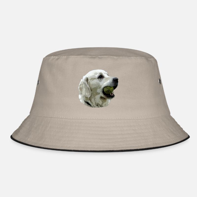 Labrador avec la bille Bob
