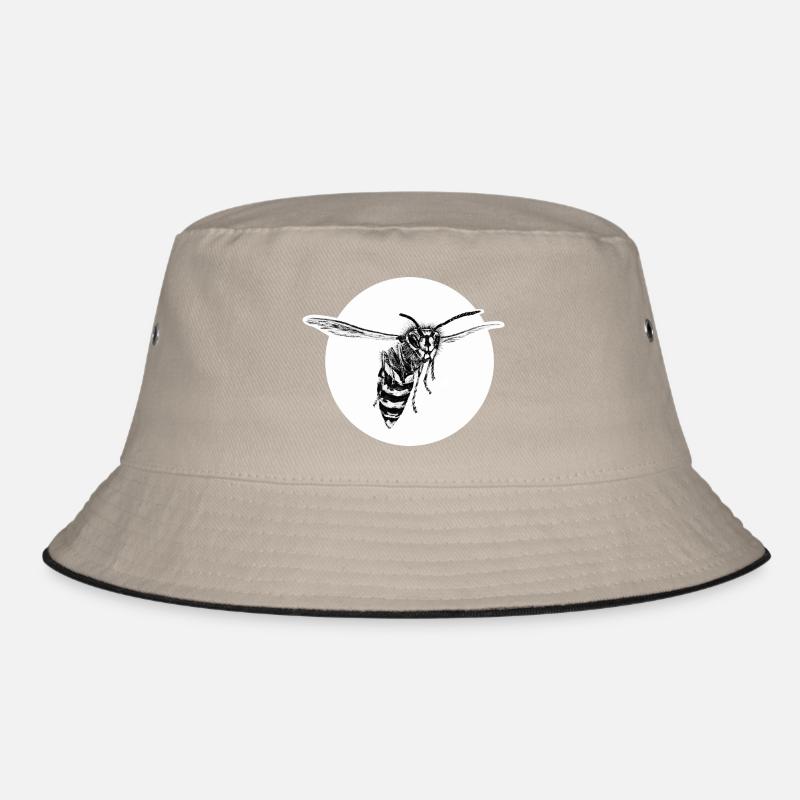 Guêpe - Abeille - Insecte Bob