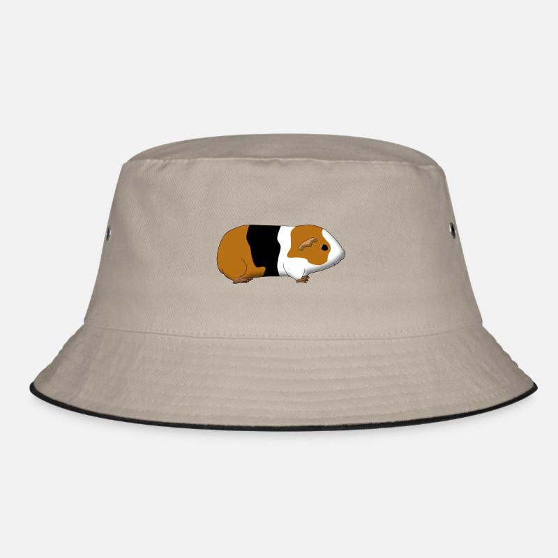 guinea pig Bob