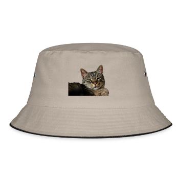 Katze Kätzchen - Bucket Hat - Khaki/Schwarz - Vorne