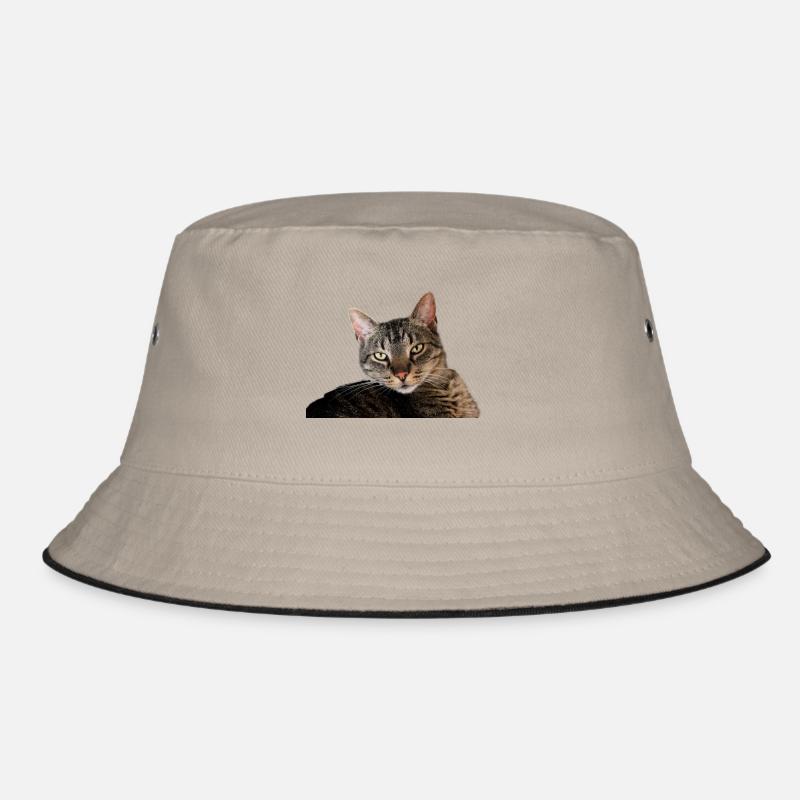 Katze Kätzchen Bucket Hat