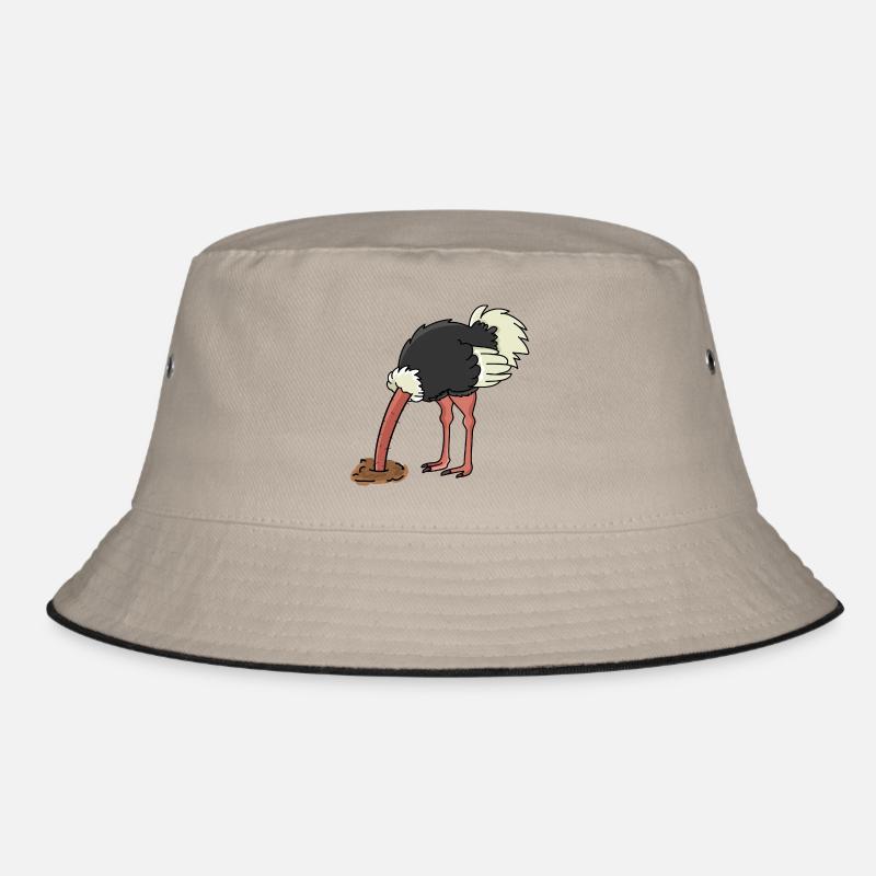 Bob