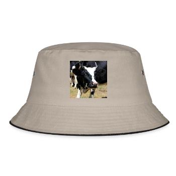 Cow Poster - Bucket Hat - khaki/black - Front