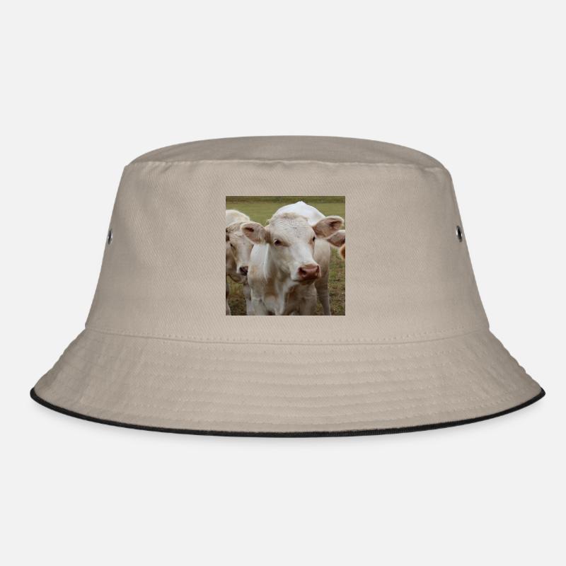 Cow Poster Bucket Hat