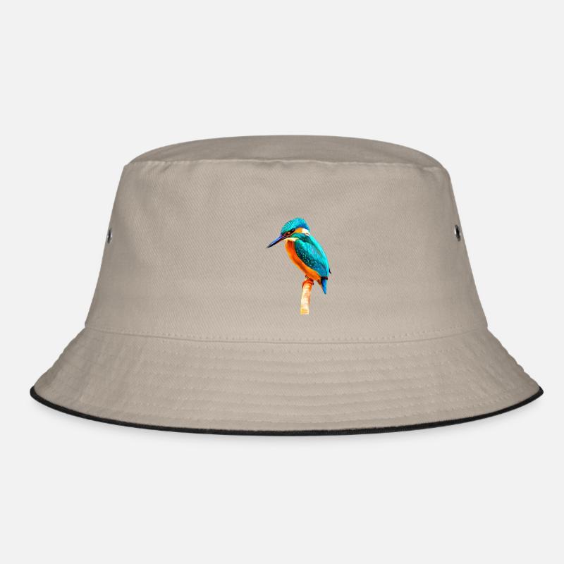 Kingfisher Bob