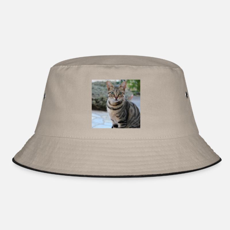 Cat Kitten Poster Square Cat Poster Bucket Hat