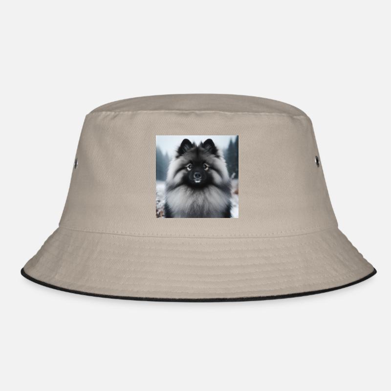 Magnifique Wolfspitz Bob