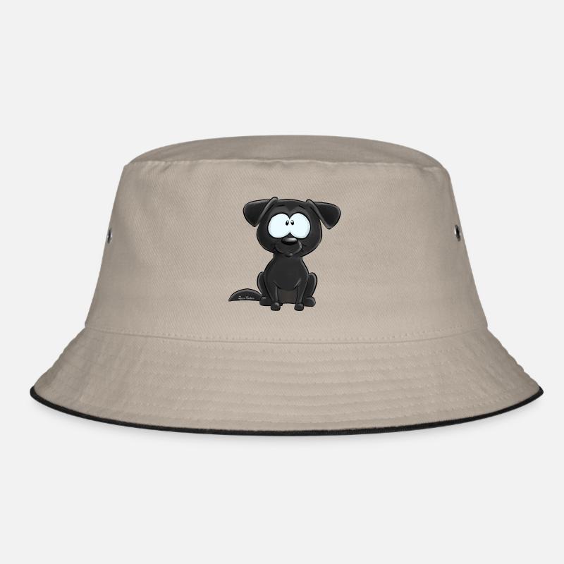 Labrador Noir Bob