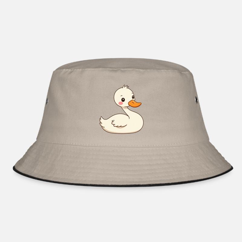 cygne Bob