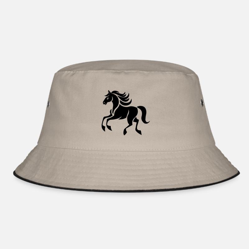 Cheval Équitation Équitation Bob