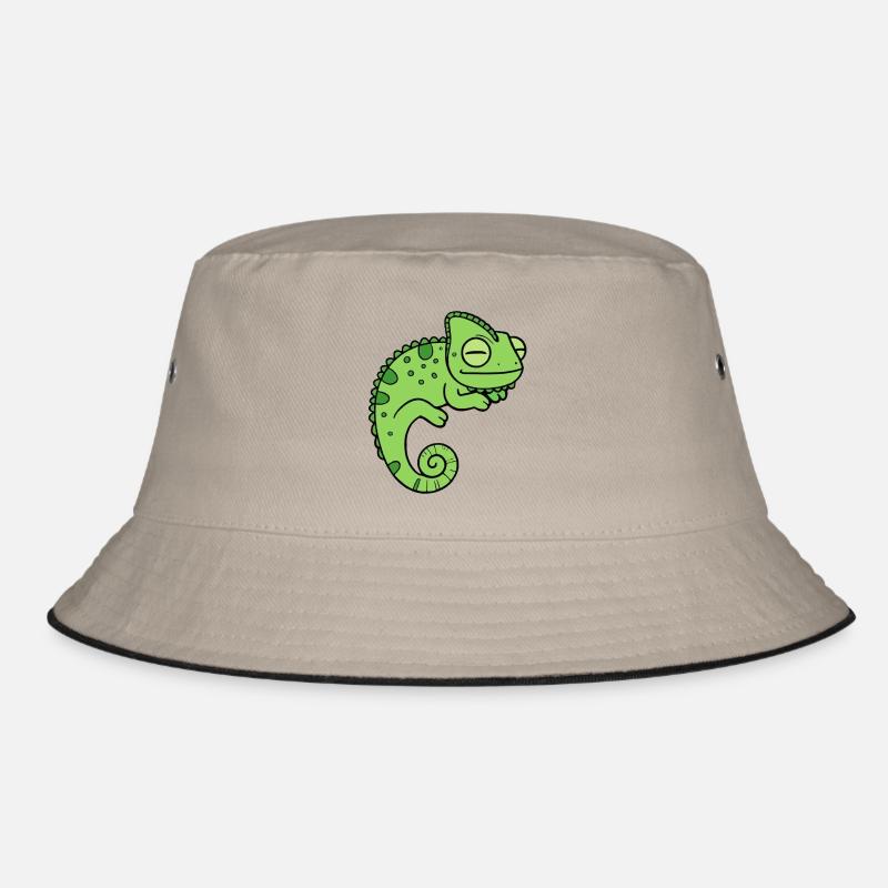 Caméléon Bob