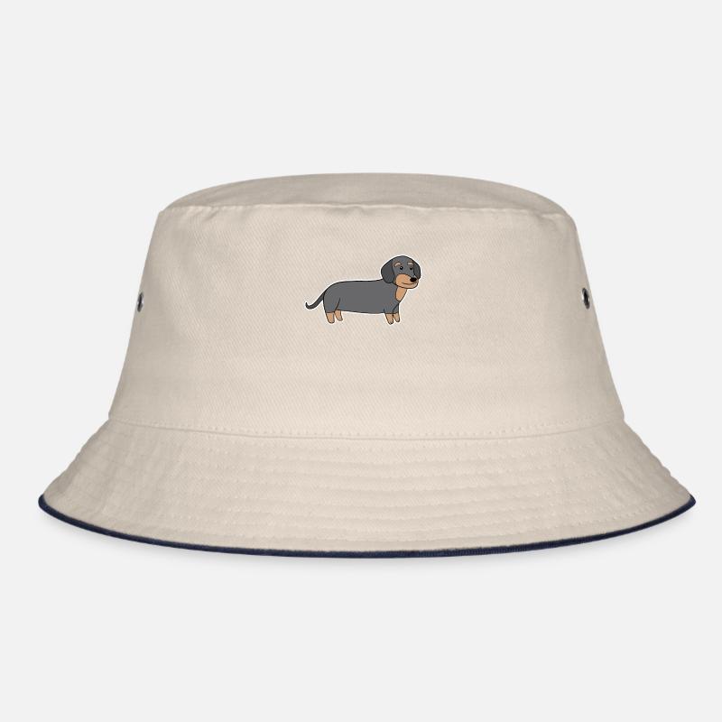 Dackel Dachshund Teckel Bob