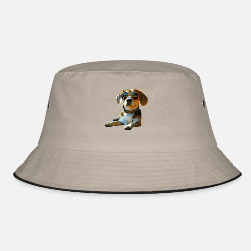 Beagle Chiot Beagles Chien mignon Beagle anglais Bob