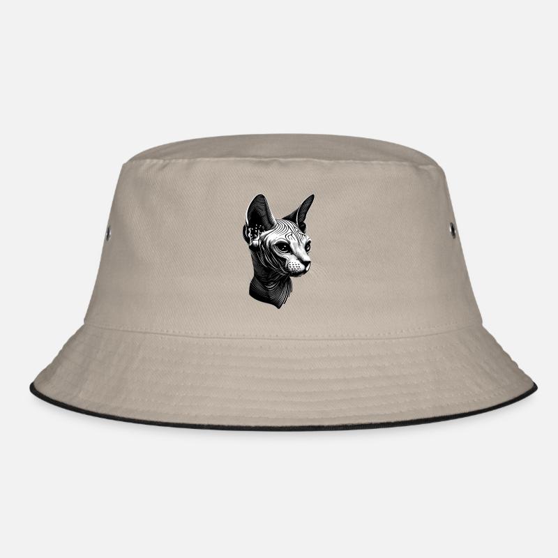 Chat Sphynx Chat Sphynx Chat Canadien Mignon Sphinx - Bob - kaki/noir