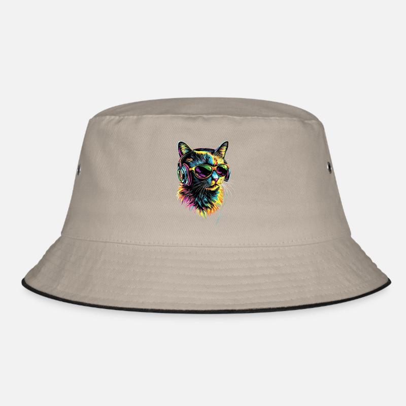 Chat Birman Chat Birman Sacré Chat Birman Mignon Chats Birmans Bob