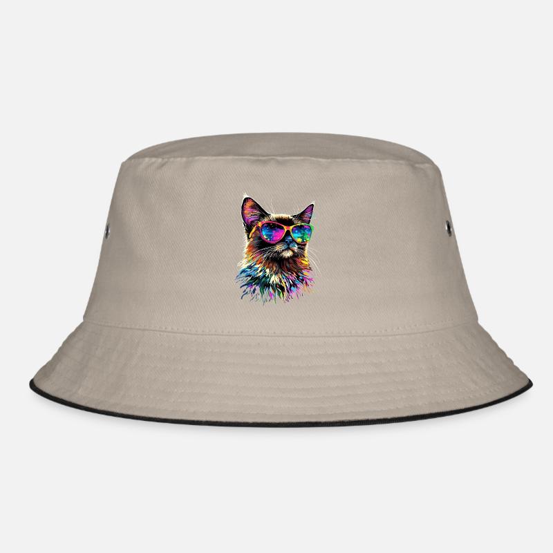 Chat Birman Chat Birman Sacré Chat Birman Mignon Chats Birmans Bob