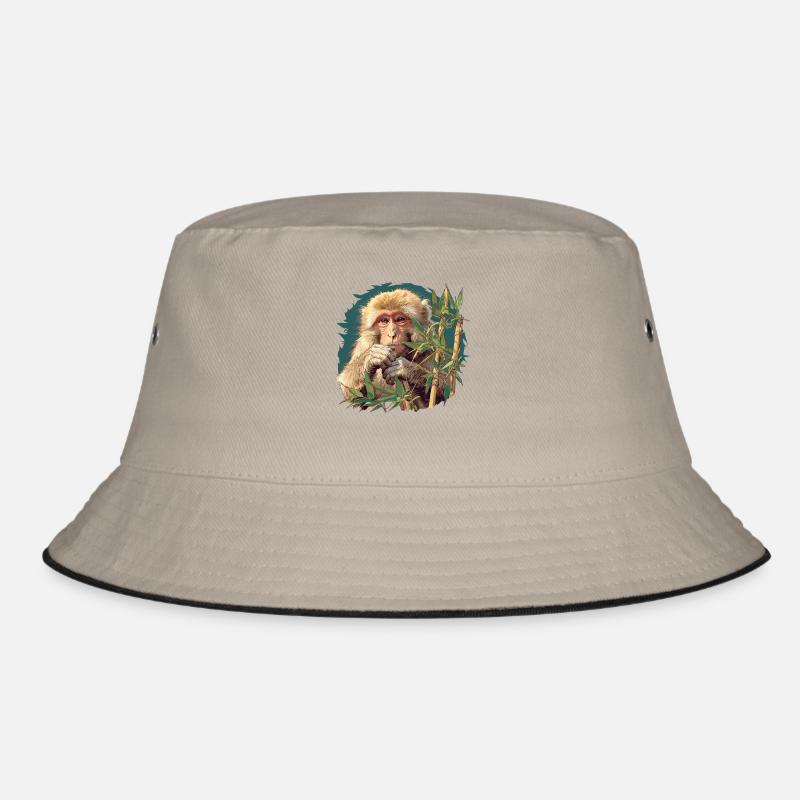 Bob