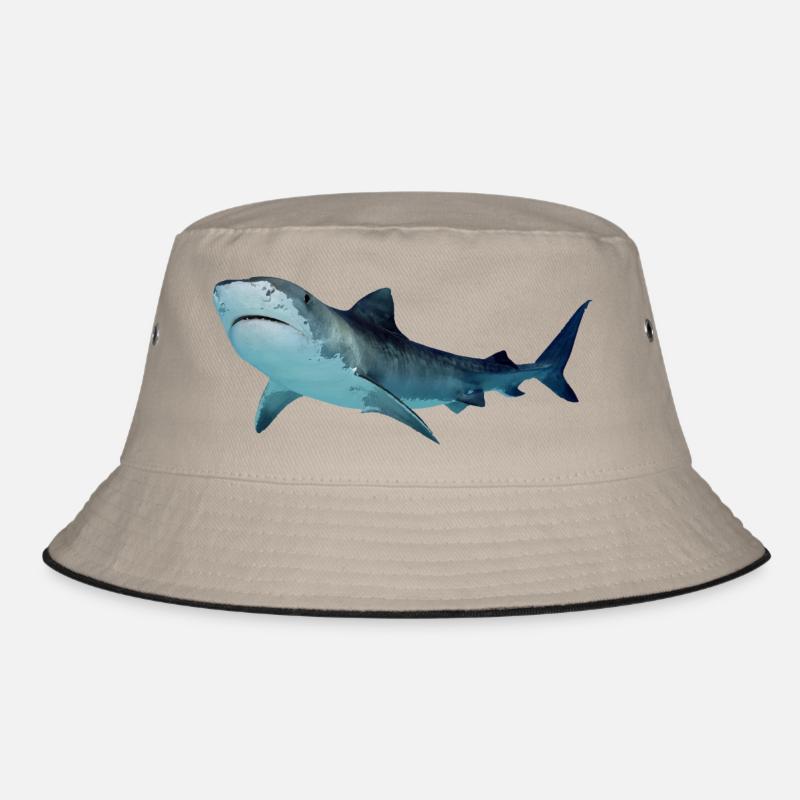 Requin Bob