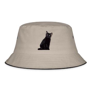 chat noir, black cat - Bob - kaki/noir - Devant