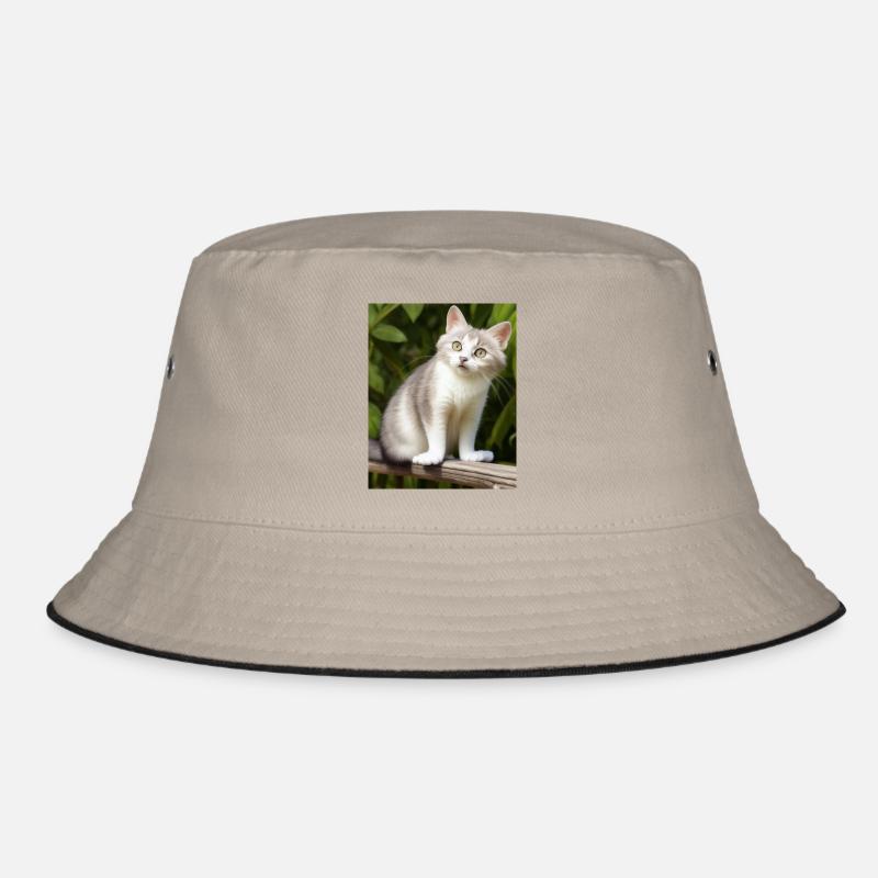 Chat persan blanc Bob