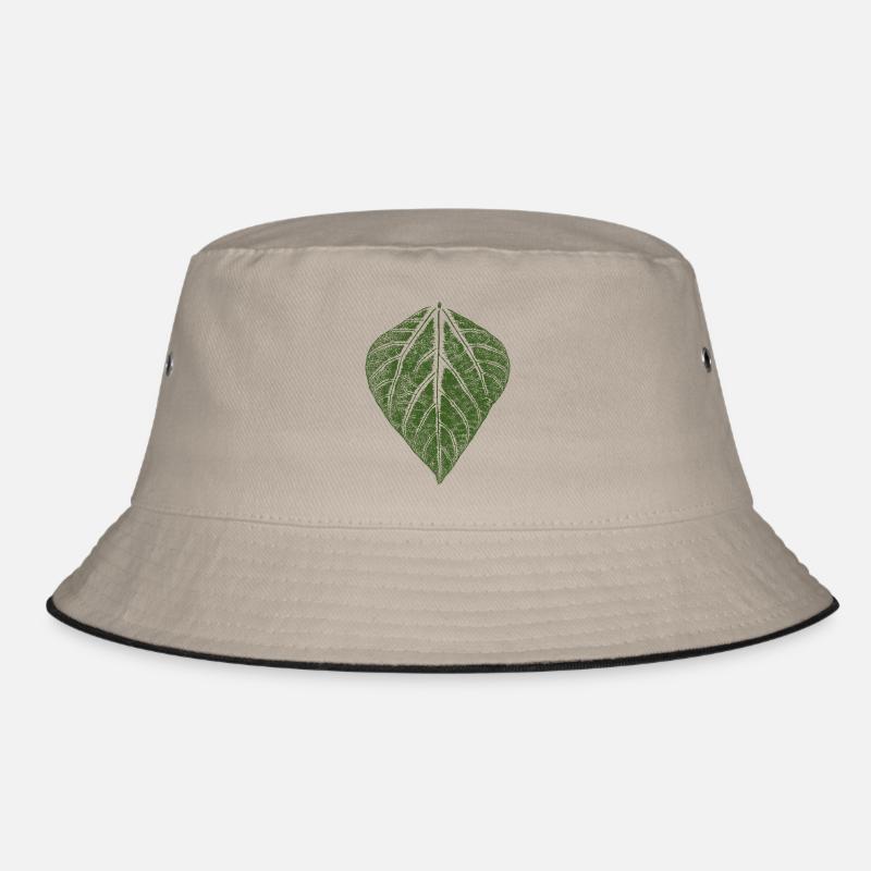 Feuille de haricot / feuilles empreinte du haricot Bob