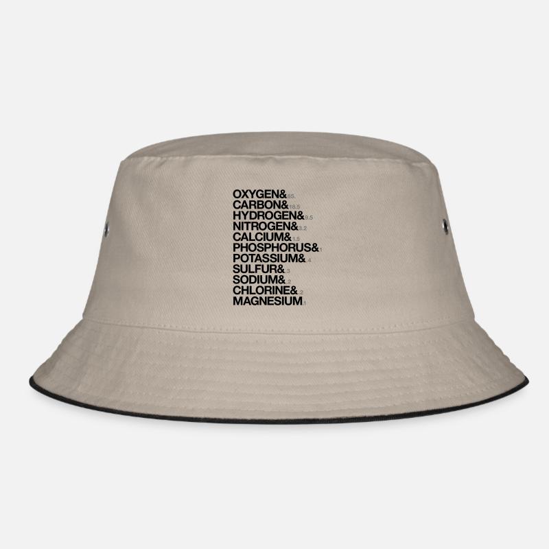 éléments du corps humain Bob