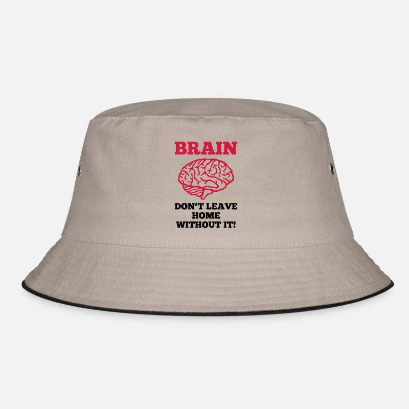 Cerveau Bob