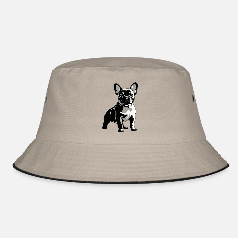 Bouledogue français Bob