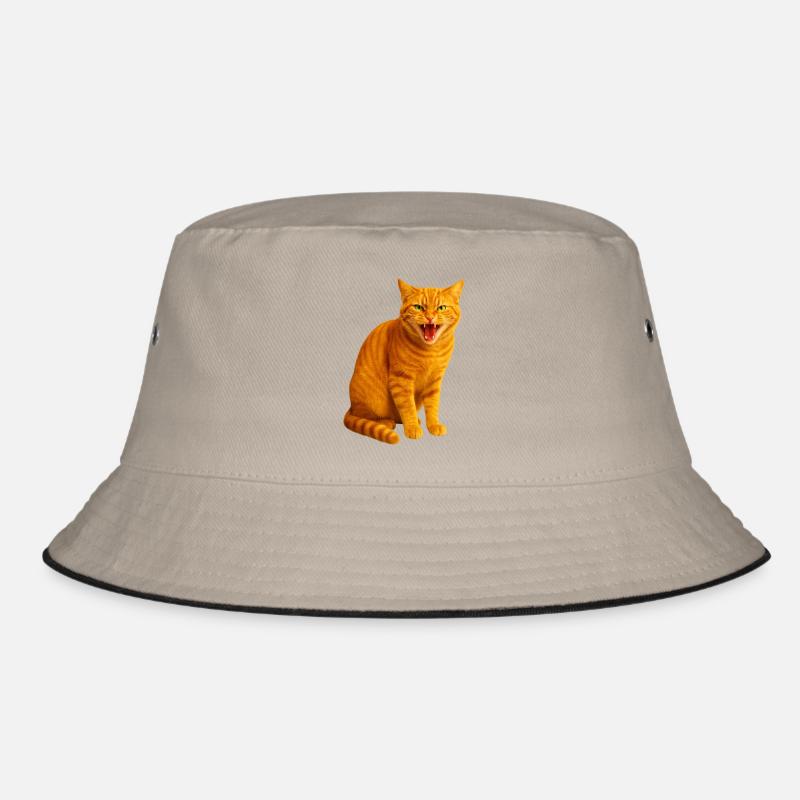 Chat tigré orange sifflant Bob