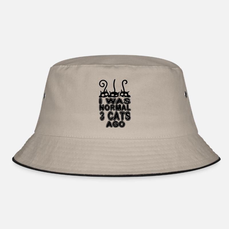 J'étais normale avant 3 chats Bob