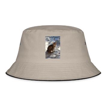 Cat Kitten - Bucket Hat - khaki/black - Front