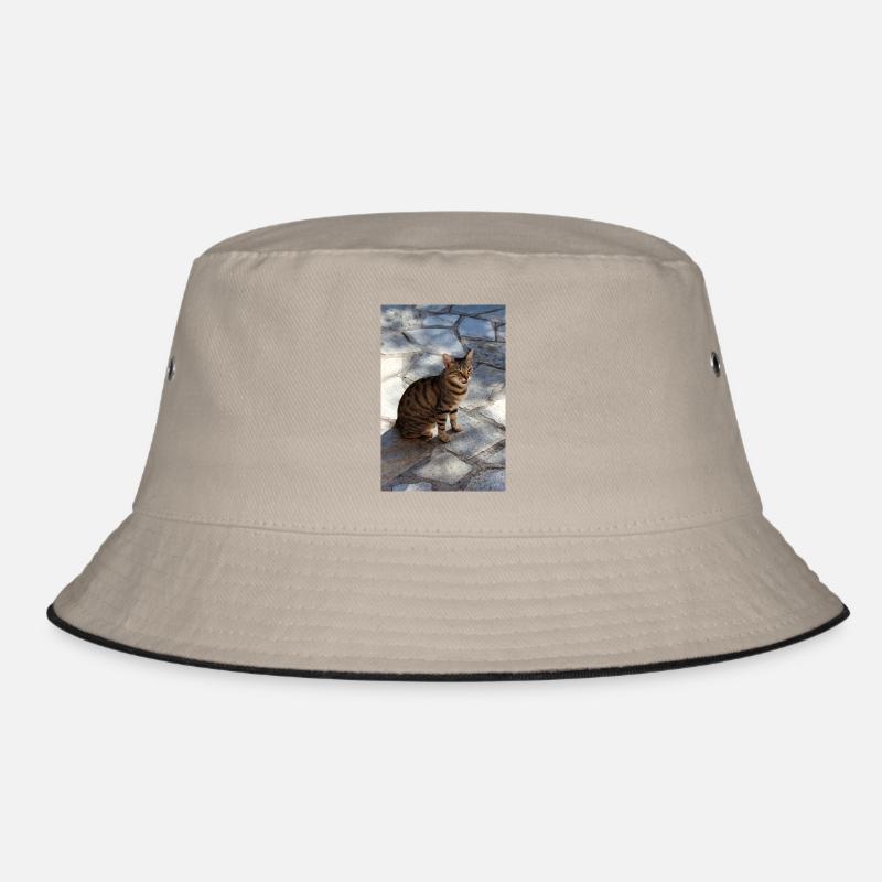 Cat Kitten Bucket Hat