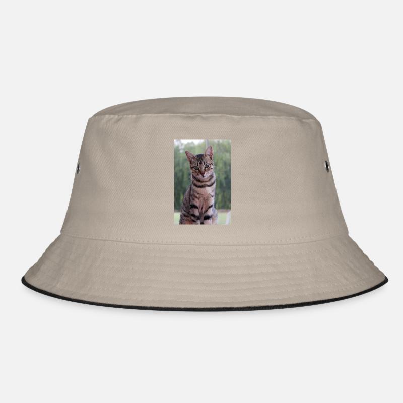 Katze Kätzchen - Bucket Hat - Khaki/Schwarz