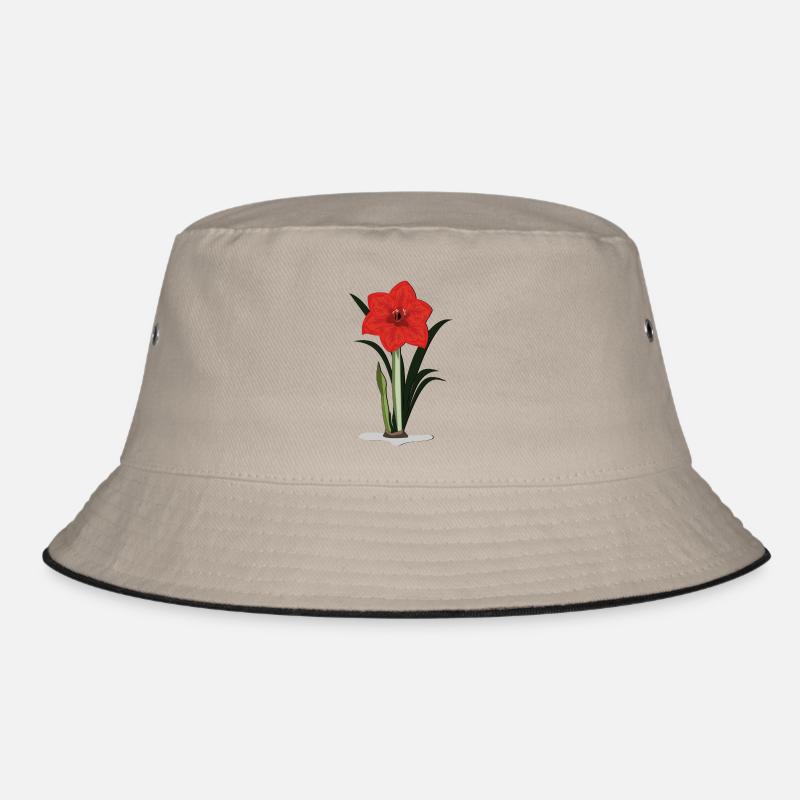 amaryllis Bob