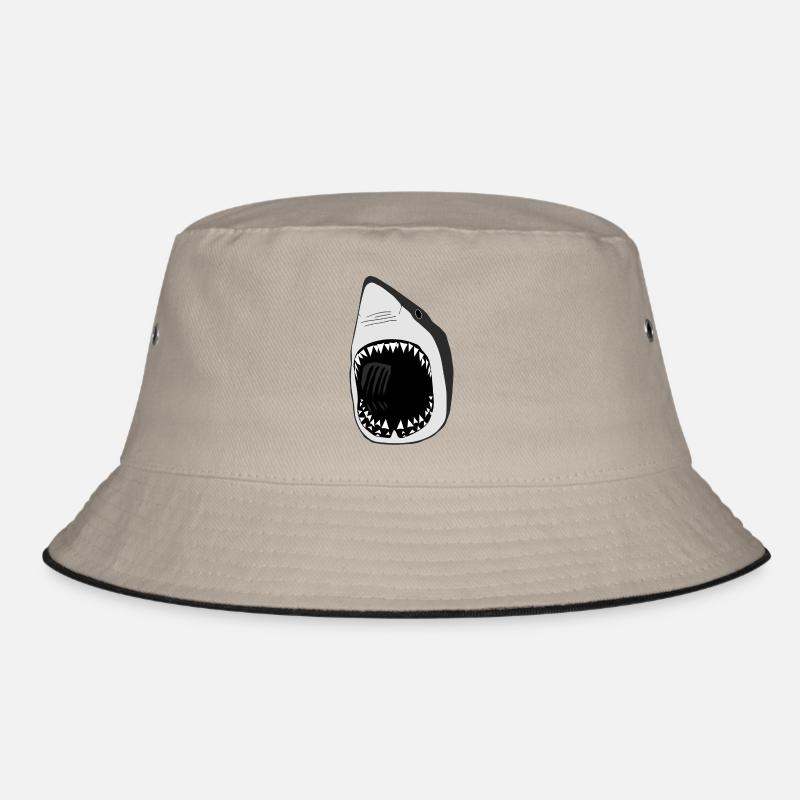 grand requin blanc squale poisson plongée Bob