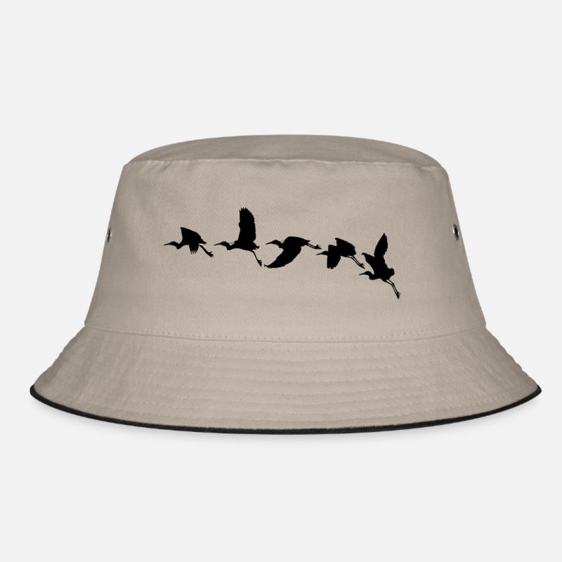 Oiseaux Bob