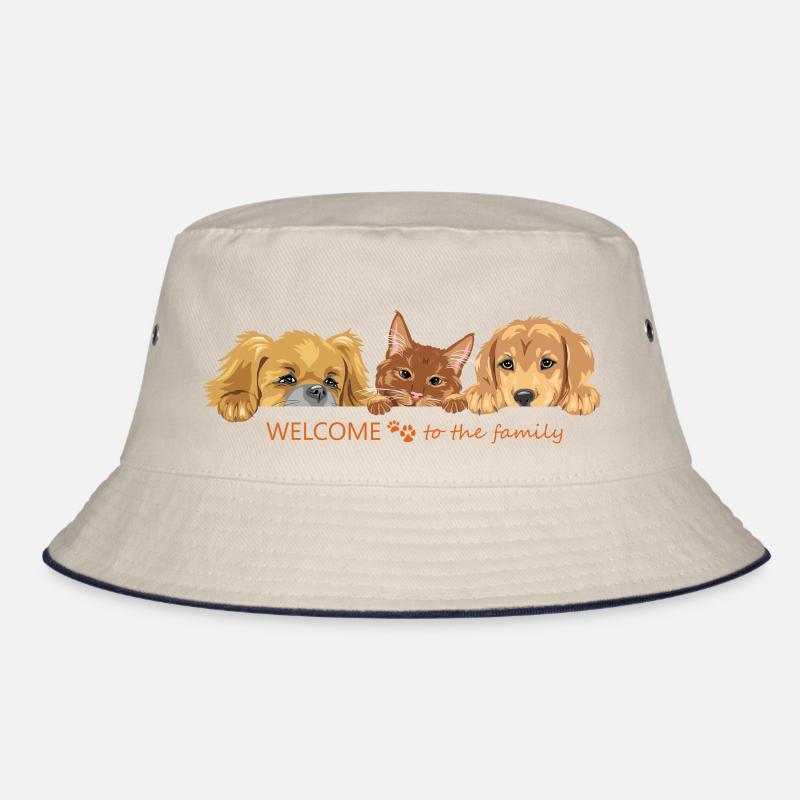 Coup d’œil mignon chat roux et deux chiens Bob