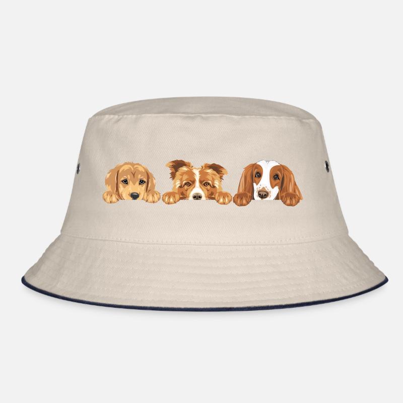 Chiens mignons qui piaillent Bob