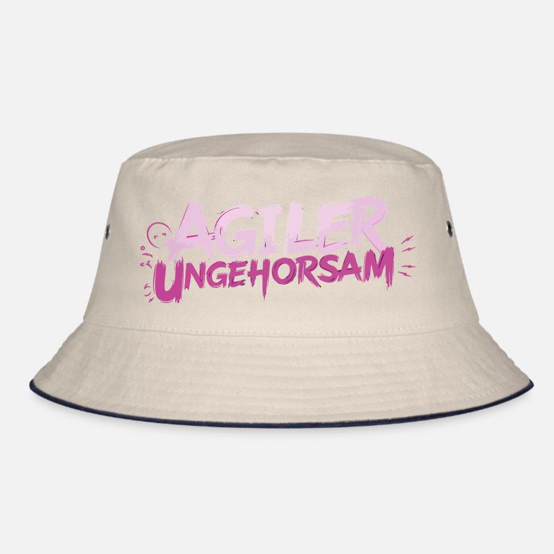 Désobéissance Agile - Déclaration Bob