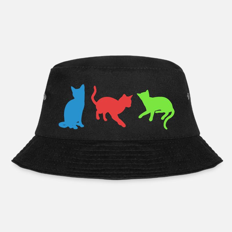 chats - Bob - noir