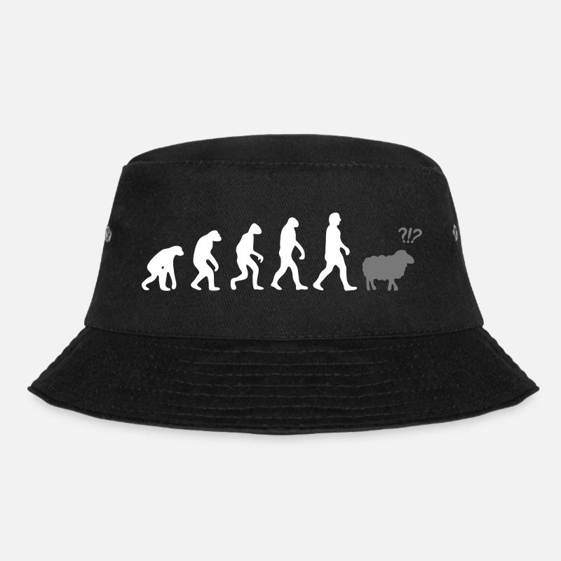 evolution mouton - Bob - noir
