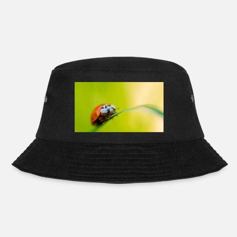 coccinelle - Bob - noir
