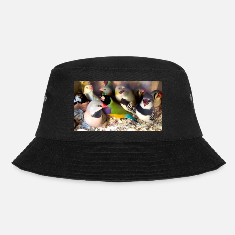 Mélange de pinsons - Bob - noir