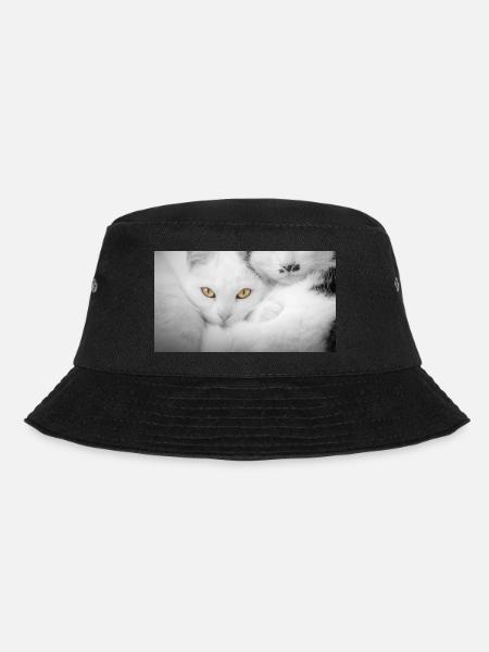 Cats - Bucket Hat - black