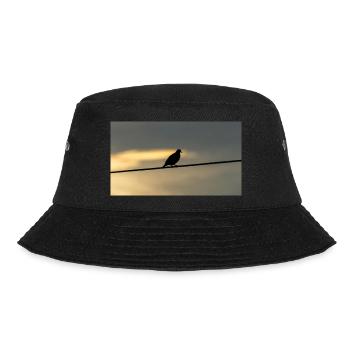 pigeon - Bob - noir - Devant - Lela (165cm)